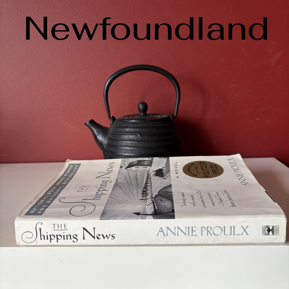 👛 (ANY 4/$20) Novel: THE SHIPPING NEWS by Pulitzer Prize Winner Anne Proulx